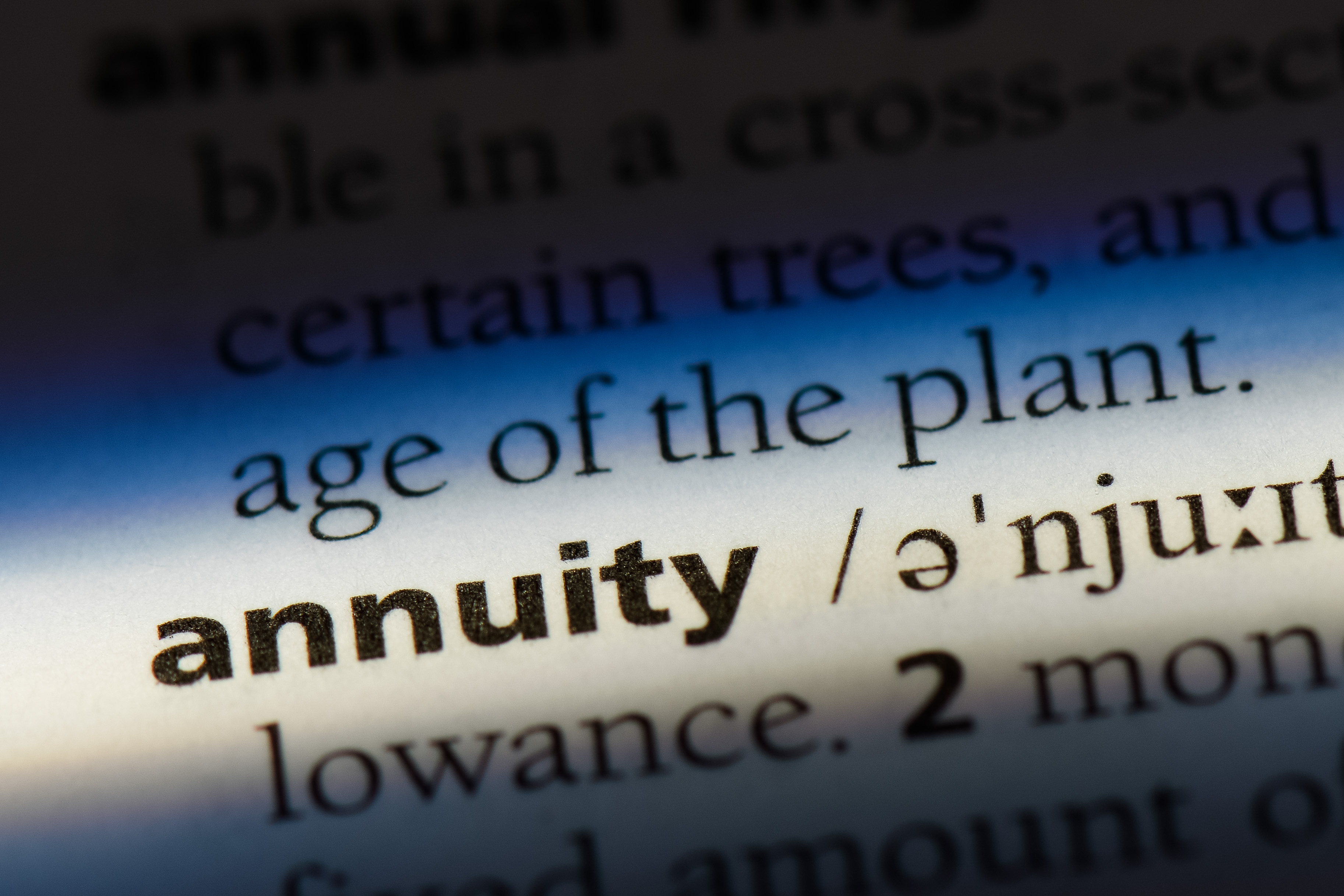Why Consider an RILA or Indexed Variable Annuity? | Prudential Financial